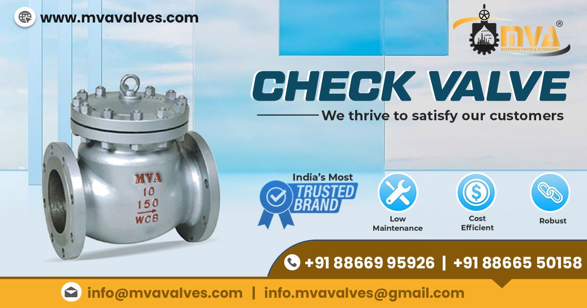 Exporter of Check Valve in USA