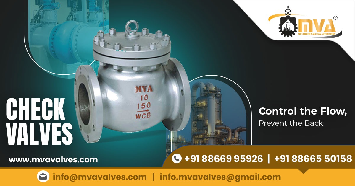 Check Valve in Ecuador