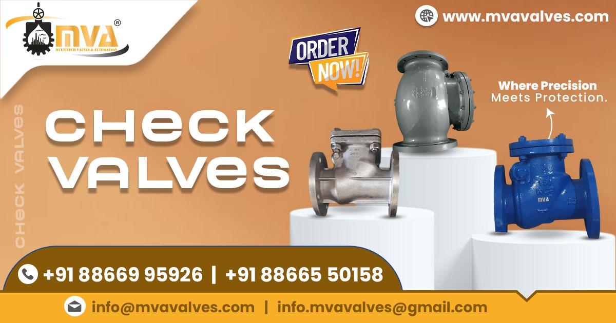 Check Valve Exporter in Dubai