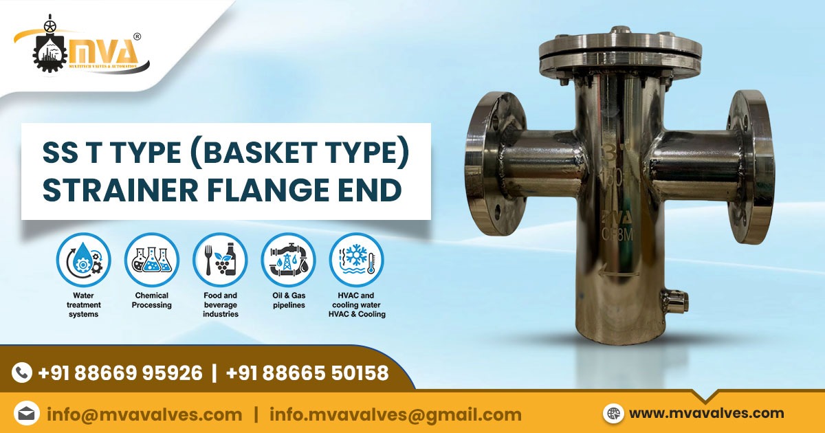 SS T Type Strainer Flange End in Vietnam