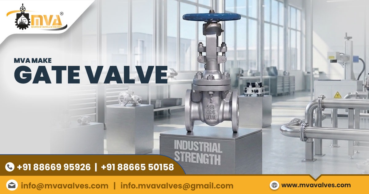 Gate Valve in Noida