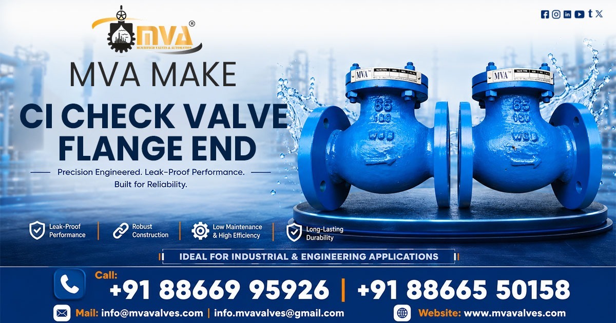 CI Check Valve Flange End in Bharuch