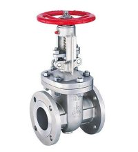 stainless-steel-gate-valve